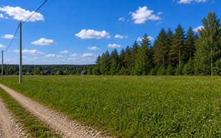 Фото участка № 43 площадью 15.92 сот. в деревне Дятлово
