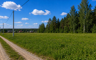 Фото участка № 45 площадью 11.97 сот. в деревне Дятлово
