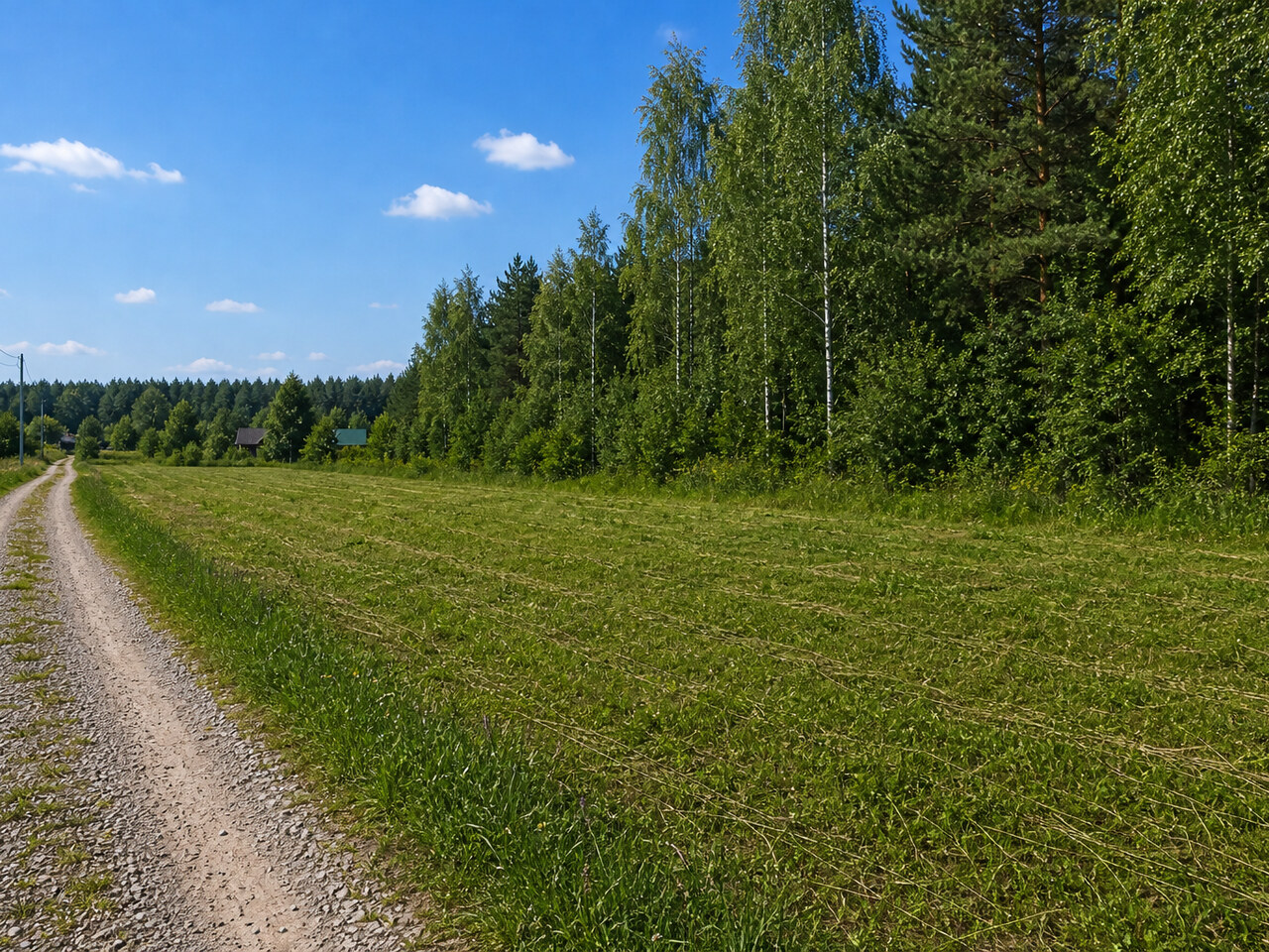 Участок № 379 площадью 11.59 сот. в поселке Незабудкино - фото 1