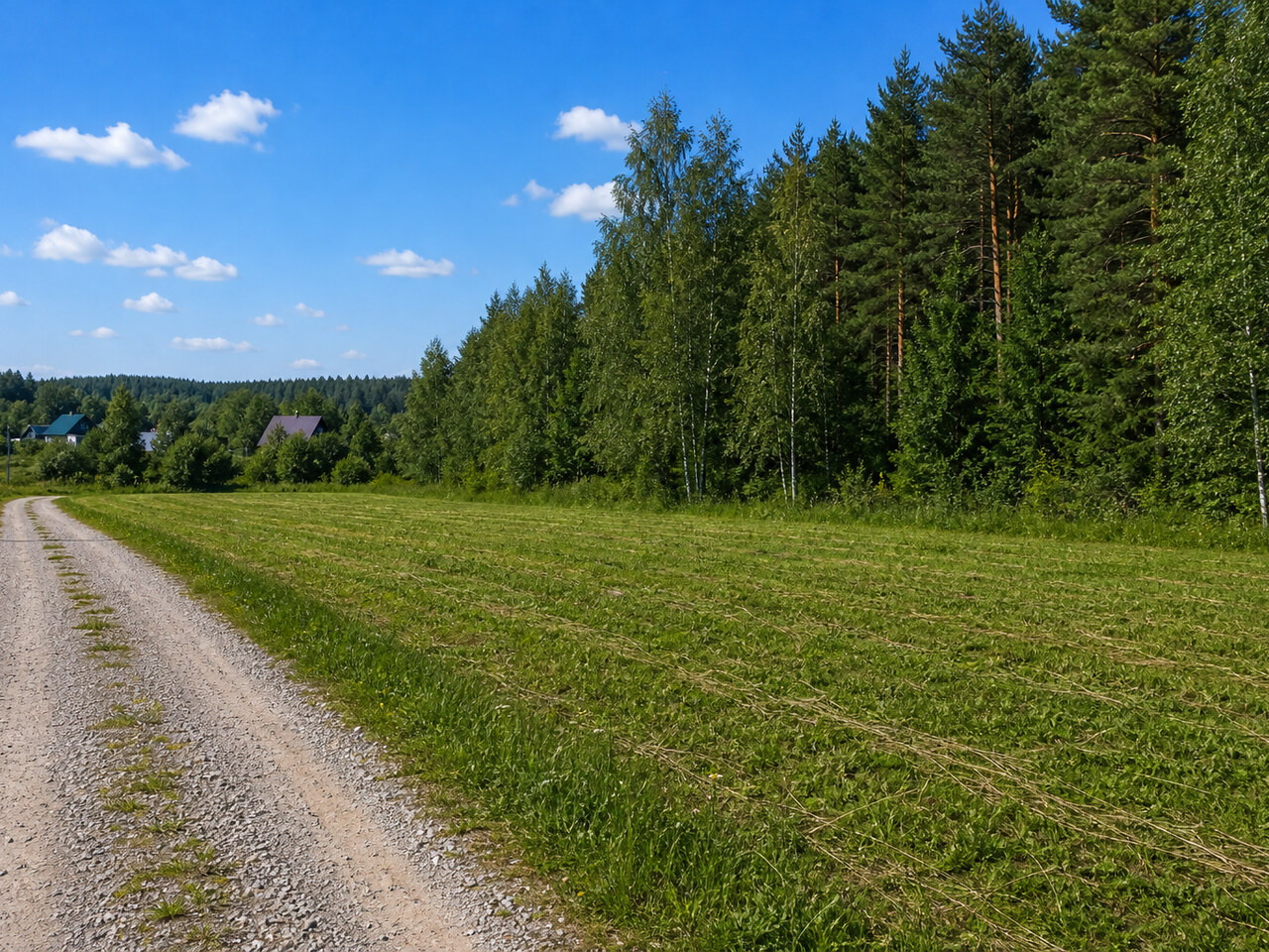 Участок № 373 площадью 11.49 сот. в поселке Незабудкино - фото 1