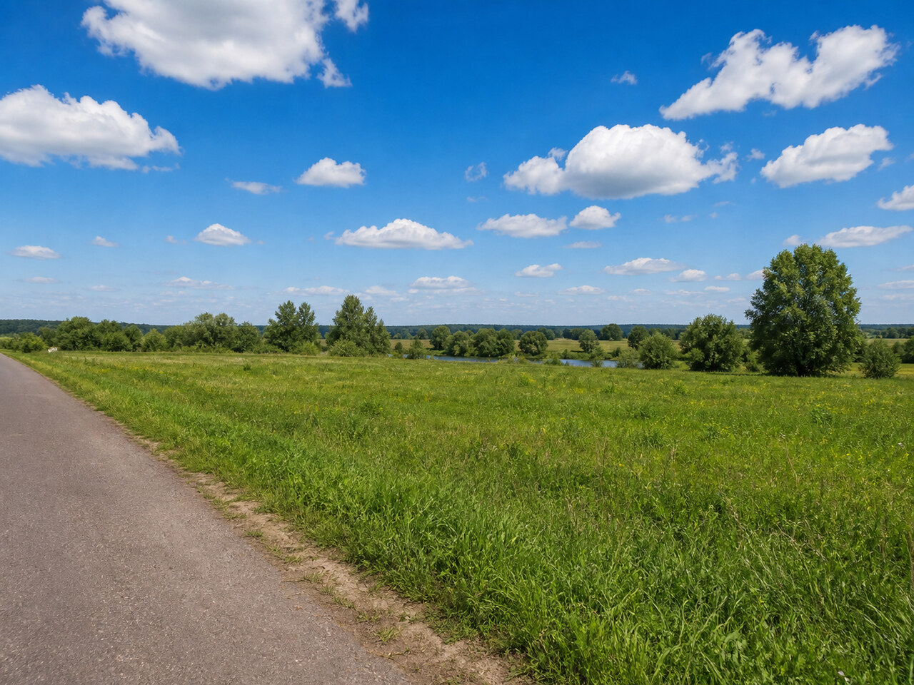 Участок № 5 площадью 9.00 сот. в деревне Пахомово-4 - фото 1