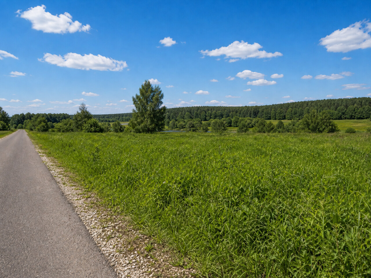 Участок № 6 площадью 9.00 сот. в деревне Пахомово-4 - фото 1