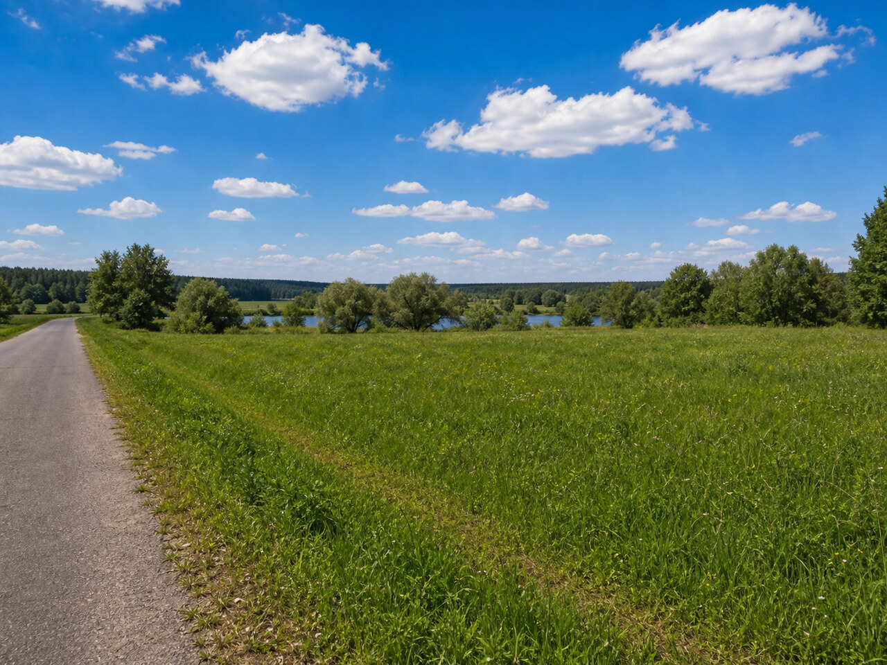 Участок № 7 площадью 9.00 сот. в деревне Пахомово-4 - фото 1