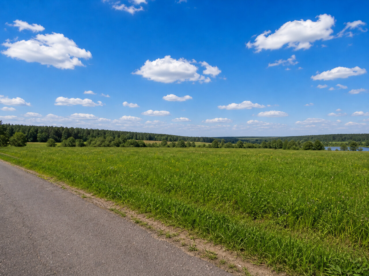 Участок № 8 площадью 9.00 сот. в деревне Пахомово-4 - фото 1