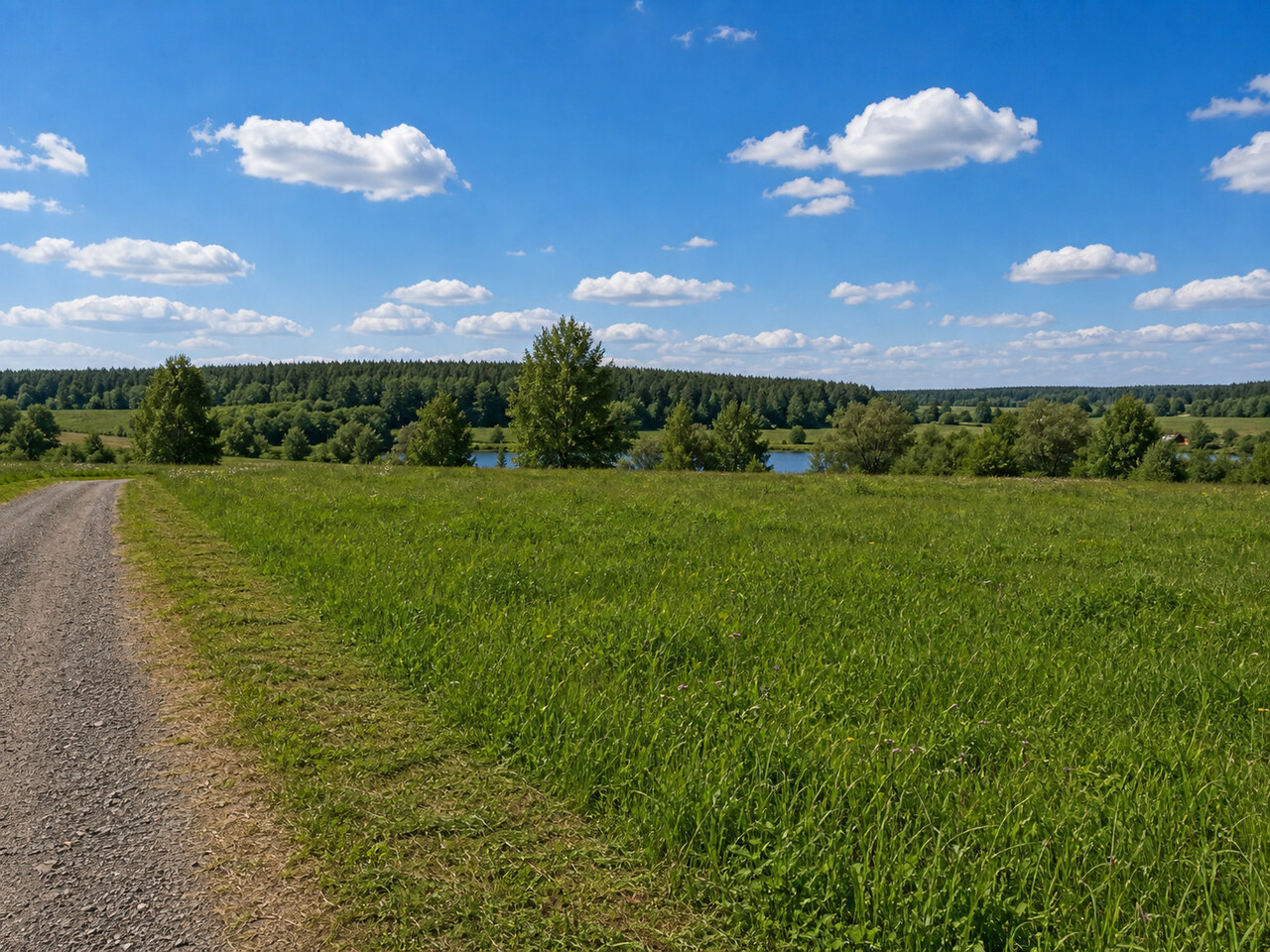Участок № 33 площадью 8.00 сот. в деревне Пахомово-4 - фото 1