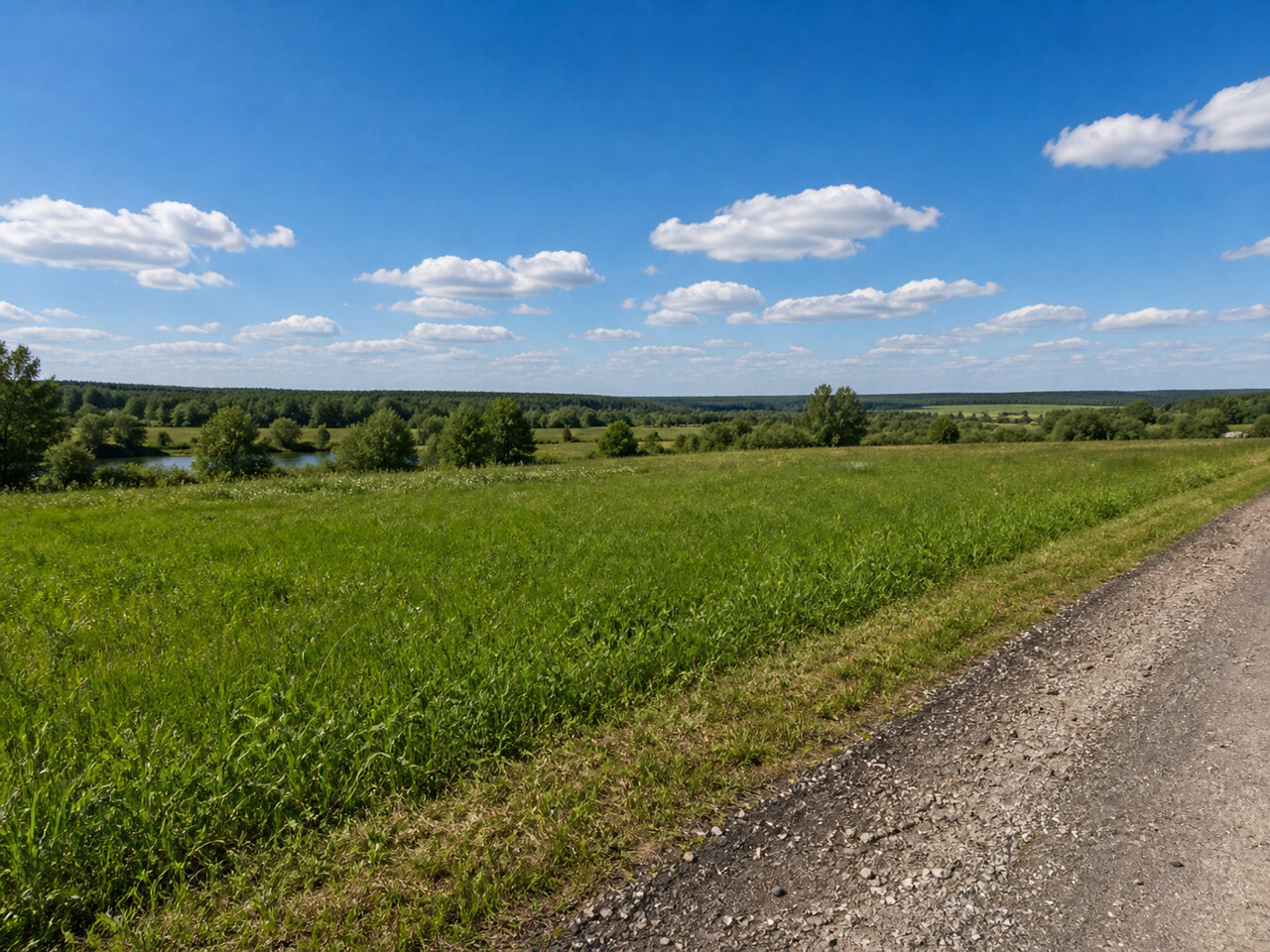 Участок № 37 площадью 9.00 сот. в деревне Пахомово-4 - фото 1