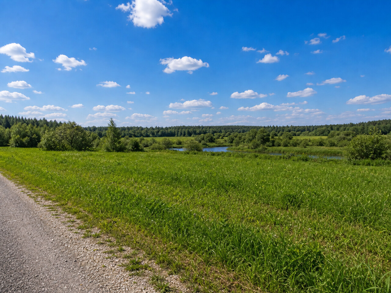 Участок № 70 площадью 8.00 сот. в деревне Пахомово-4 - фото 1