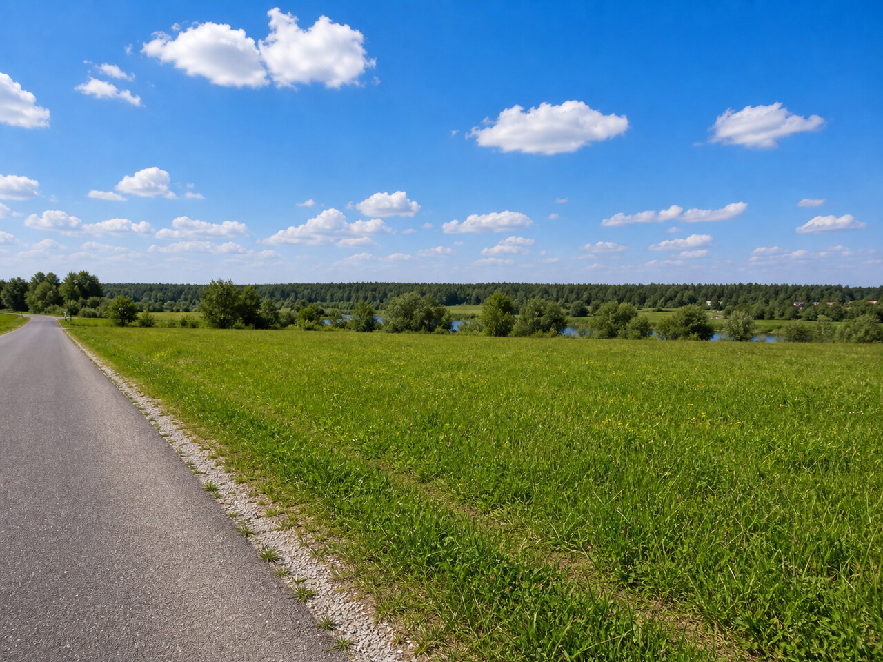 Участок № 77 площадью 8.00 сот. в деревне Пахомово-4 - фото 1