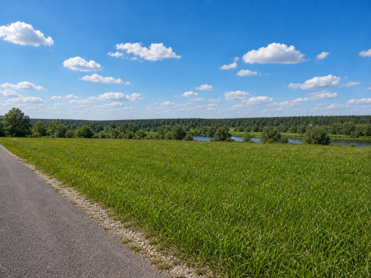 Участок № 78 площадью 8.00 сот. в деревне Пахомово-4 - фото 1