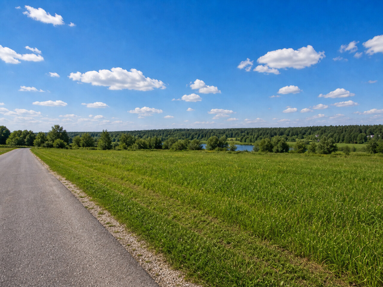Участок № 140 площадью 8.44 сот. в деревне Пахомово-4 - фото 1