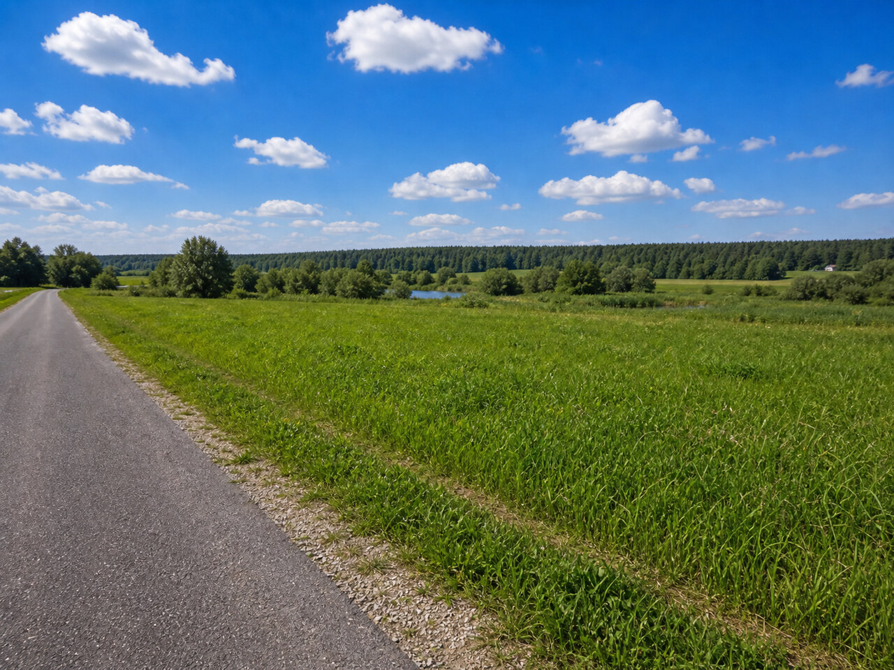 Участок № 141 площадью 8.56 сот. в деревне Пахомово-4 - фото 1