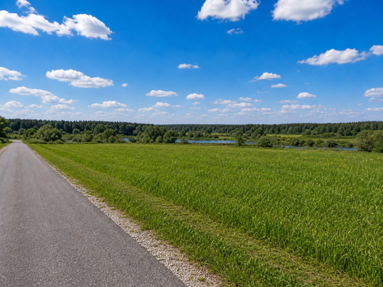 Участок № 157 площадью 8.16 сот. в деревне Пахомово-4 - фото 1