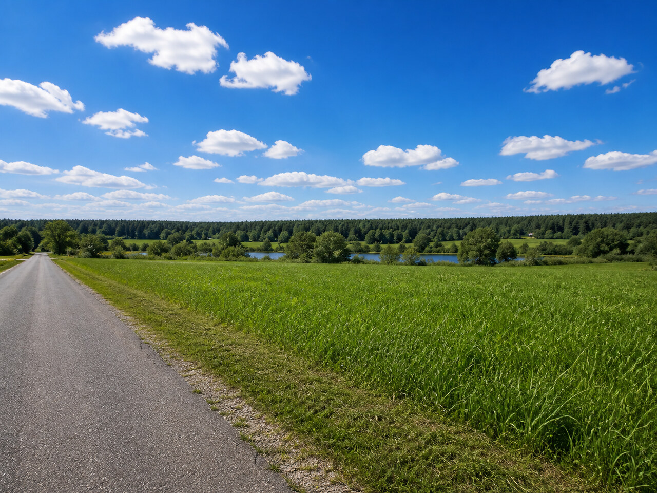 Участок № 158 площадью 7.99 сот. в деревне Пахомово-4 - фото 1