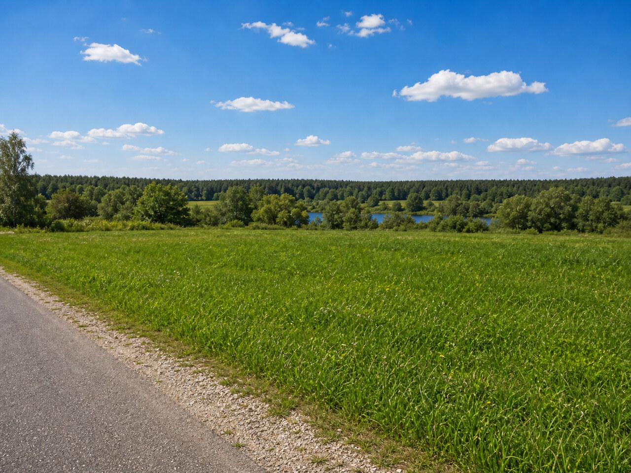 Участок № 159 площадью 7.84 сот. в деревне Пахомово-4 - фото 1