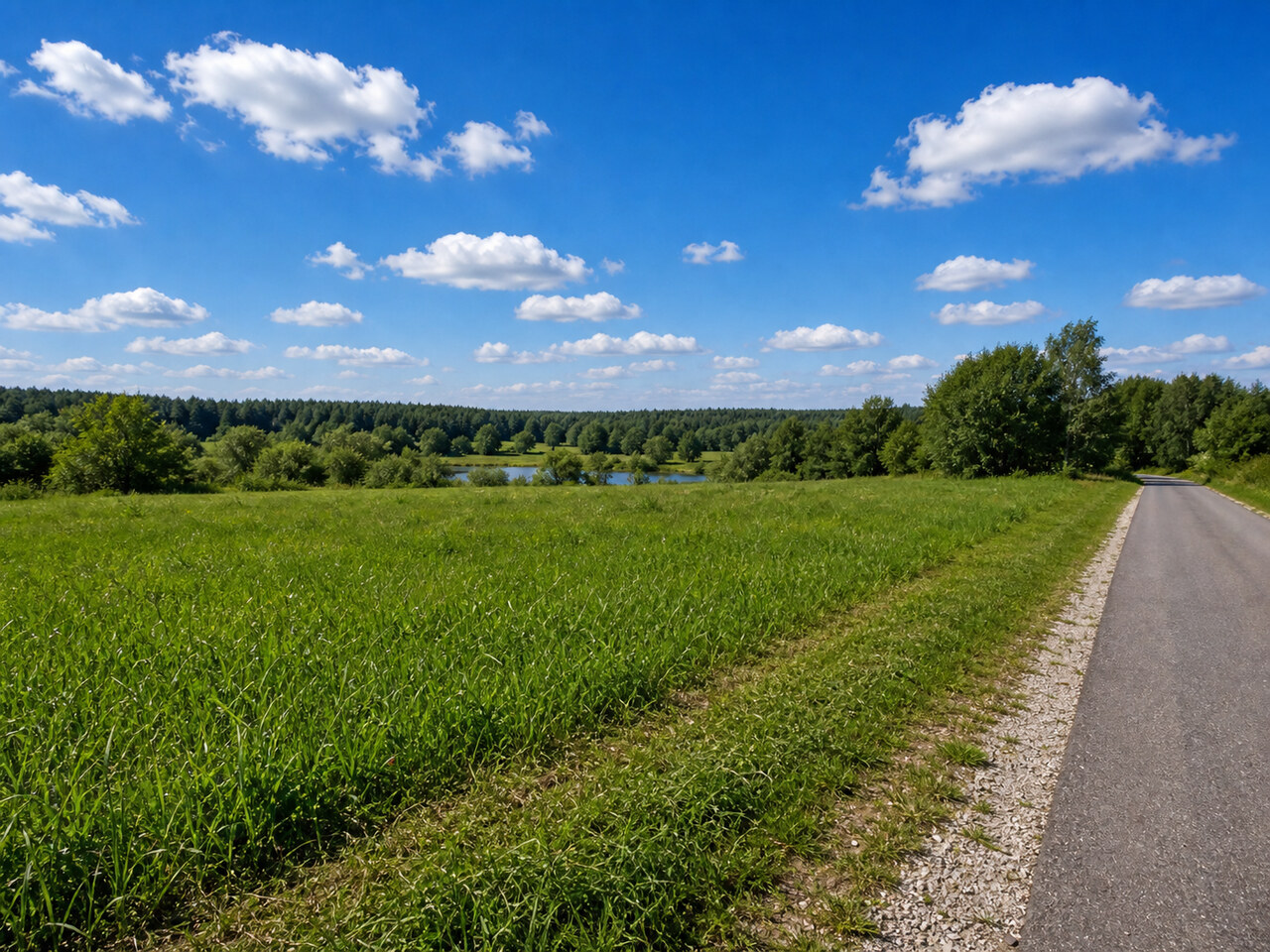 Участок № 161 площадью 7.57 сот. в деревне Пахомово-4 - фото 1