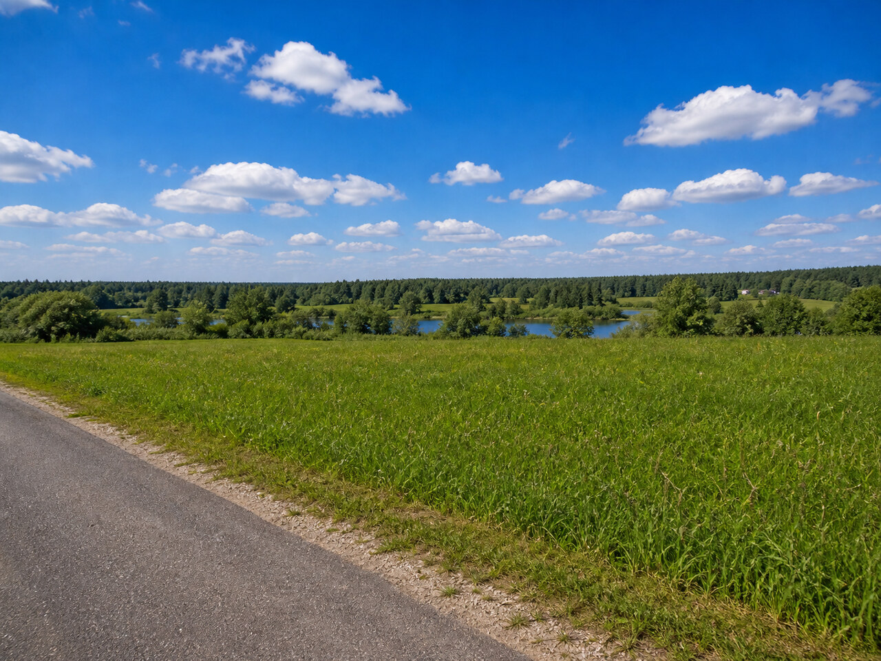 Участок № 162 площадью 7.44 сот. в деревне Пахомово-4 - фото 1