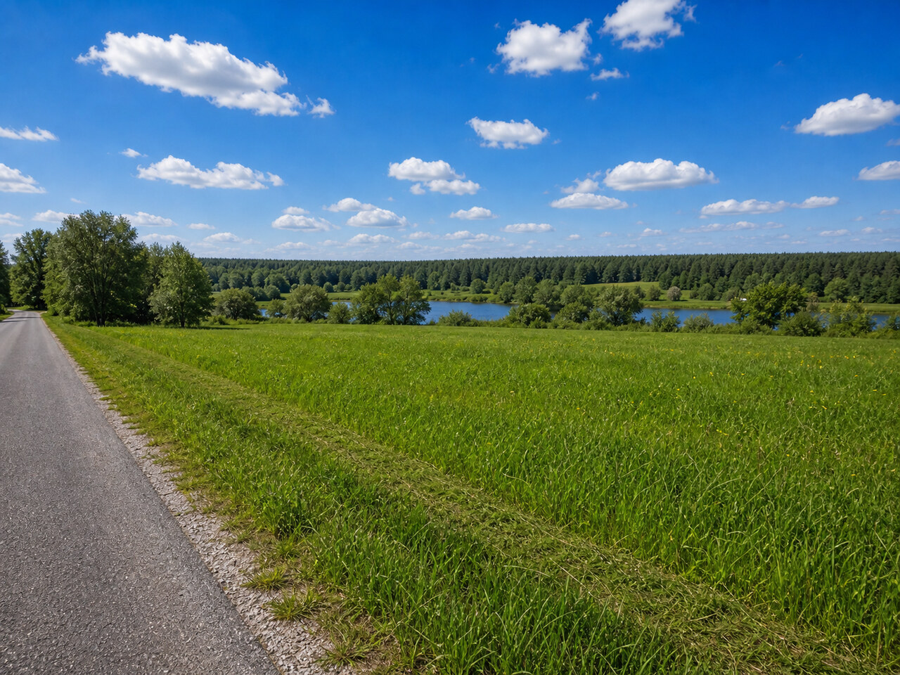 Участок № 163 площадью 8.00 сот. в деревне Пахомово-4 - фото 1