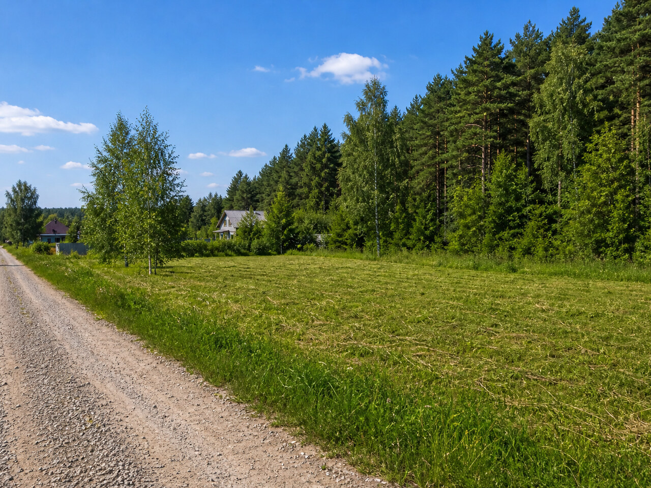 Участок № c_23 площадью 11.59 сот. в поселке Незабудкино - фото 1