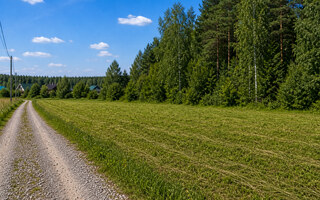 Фото участка № c_34 площадью 12.80 сот. в поселке Незабудкино