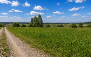 Фото участка № 35 площадью 10,00 сот. в деревне Дмитриевское