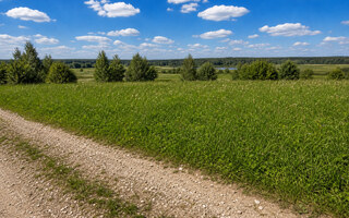 Фото участка № 31 площадью 11,93 сот. в деревне Дмитриевское