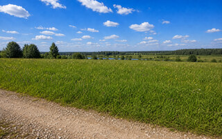 Фото участка № 40 площадью 10,00 сот. в деревне Дмитриевское