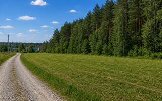 Фото участка № c_57 площадью 11.75 сот. в поселке Незабудкино