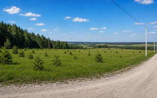 Фото участка № 67 площадью 80.57 сот. в поселке Крюково