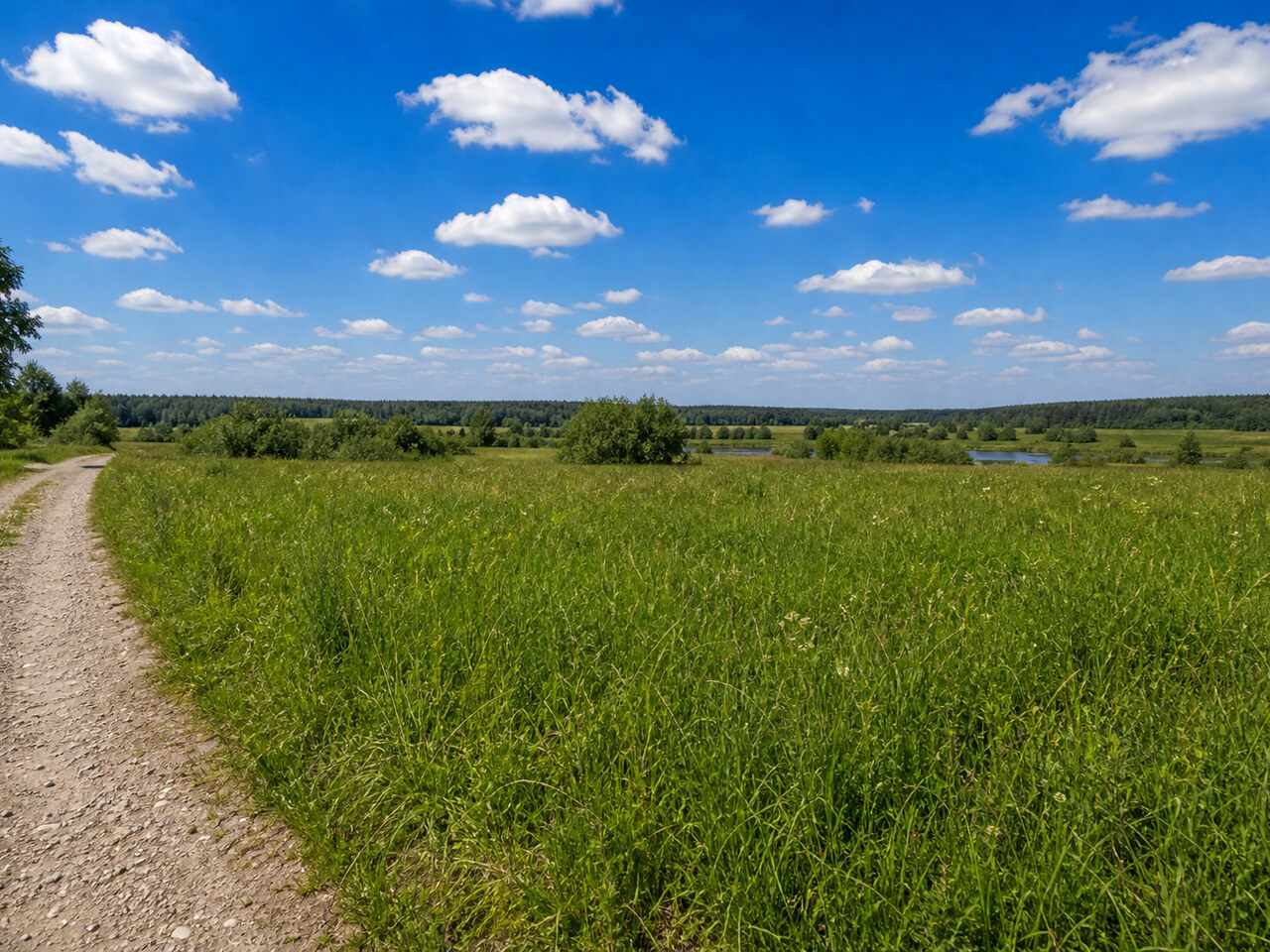 Участок № 40 площадью 11,88 сот. в деревне Дмитриевское - фото 1