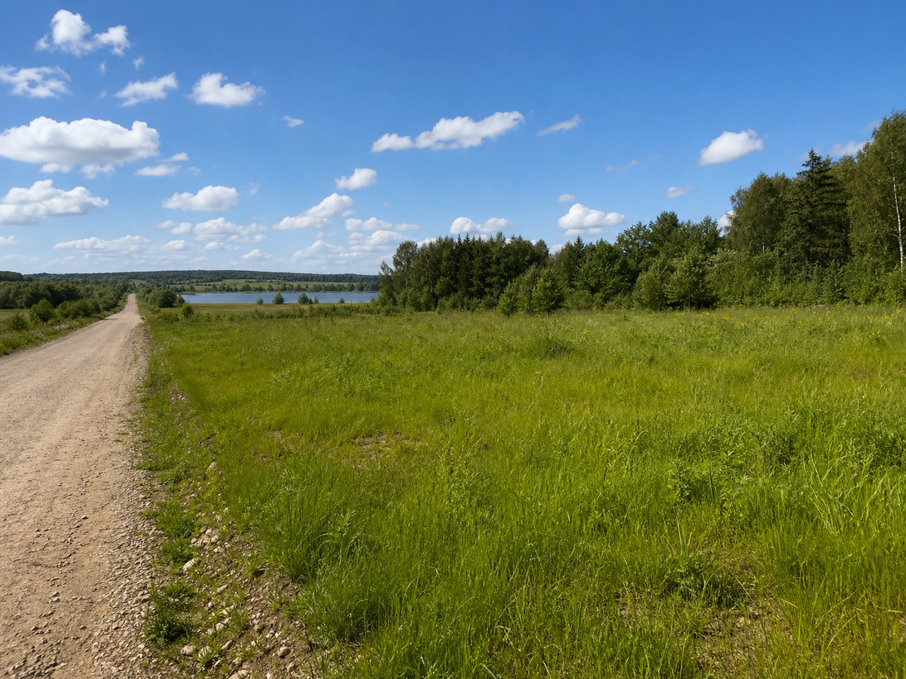 Участок № 1 площадью 23,40 сот. в поселке Озёрный - фото 1