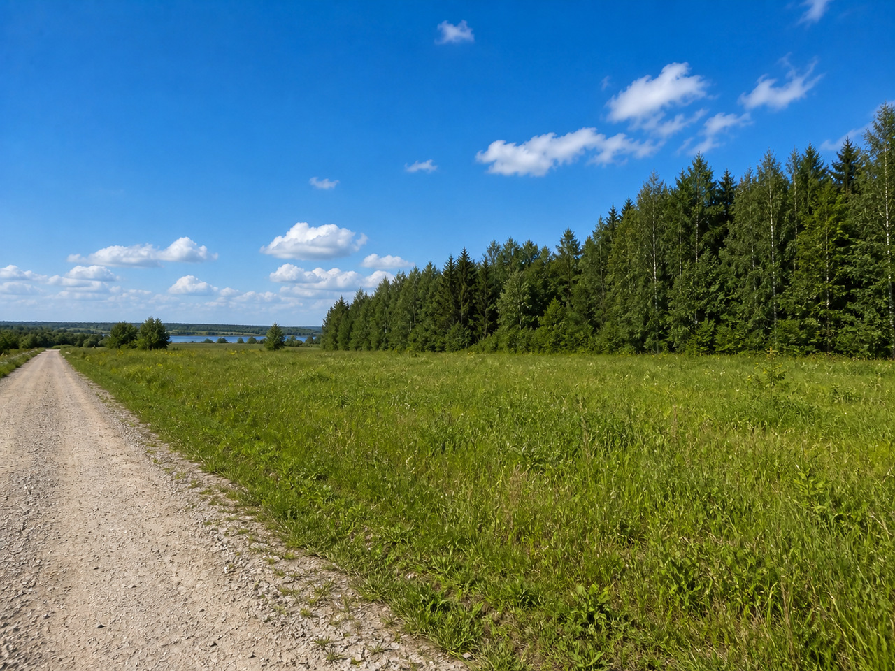 Участок № 5 площадью 12,18 сот. в поселке Озёрный - фото 1