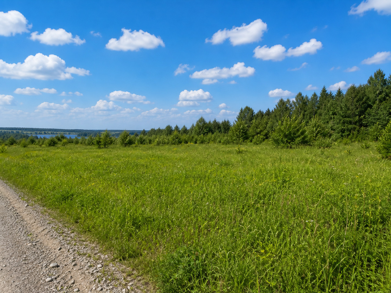 Участок № 13 площадью 12,70 сот. в поселке Озёрный - фото 1