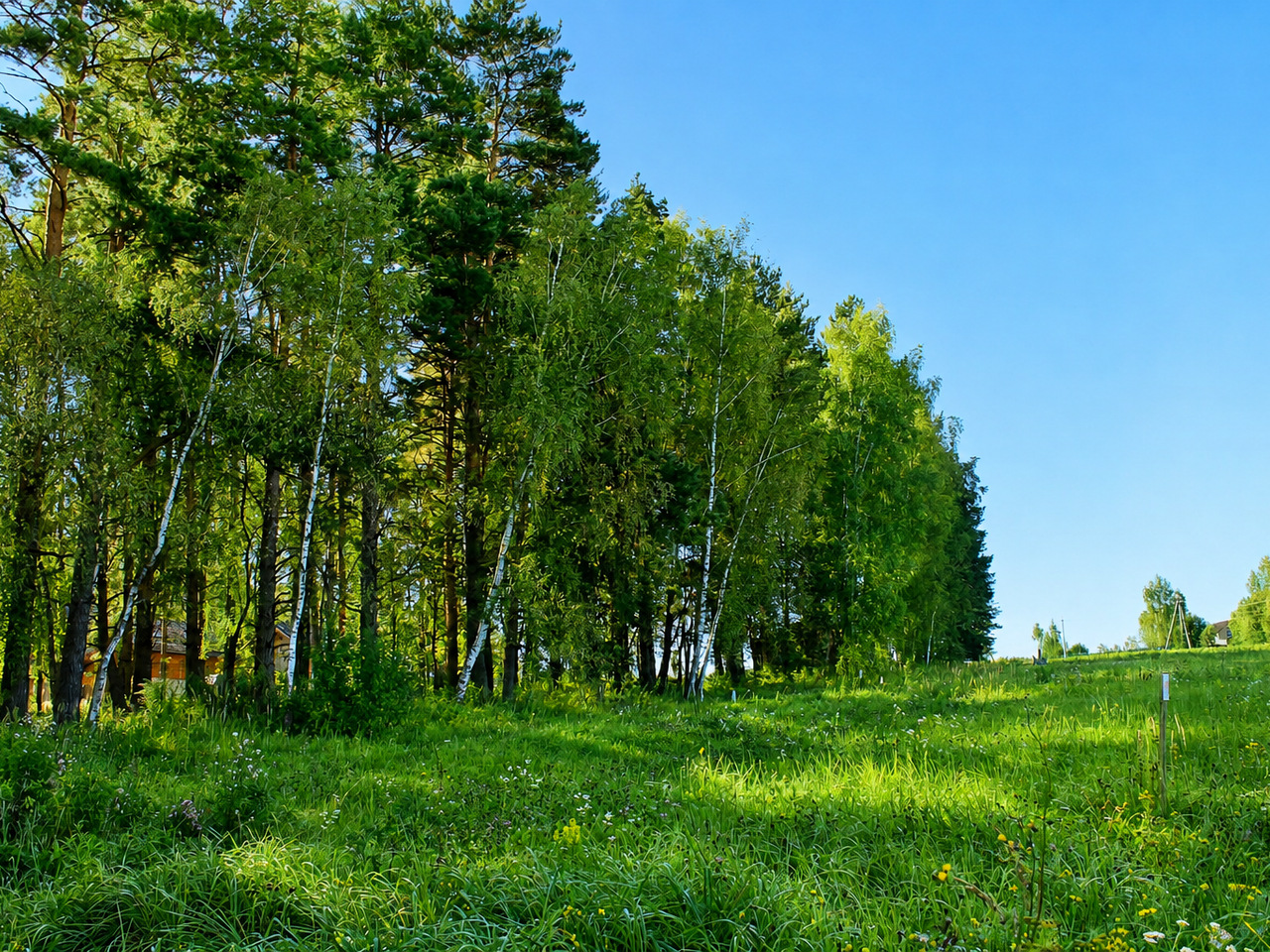 Участок № 88 площадью 10,22 сот. в поселке Озёрный - фото 1