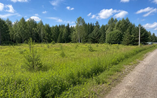 Фото участка № 3 площадью 10,00 сот. в деревне Лесновка