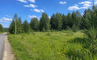 Фото участка № 4 площадью 10,00 сот. в деревне Лесновка