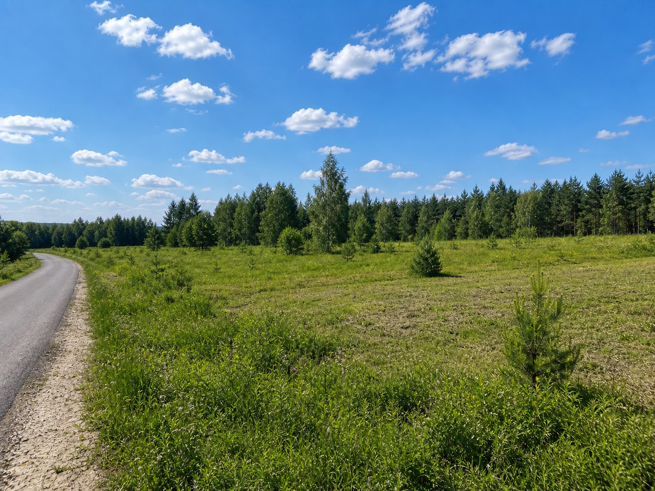 Участок № 10 площадью 19,52 сот. в деревне Лесновка - фото 1