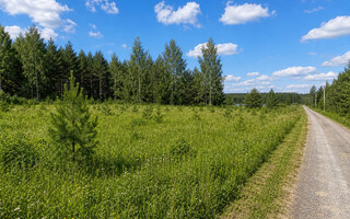 Фото участка № 13 площадью 10,50 сот. в деревне Лесновка