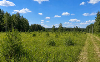 Фото участка № 25 площадью 10,50 сот. в деревне Лесновка
