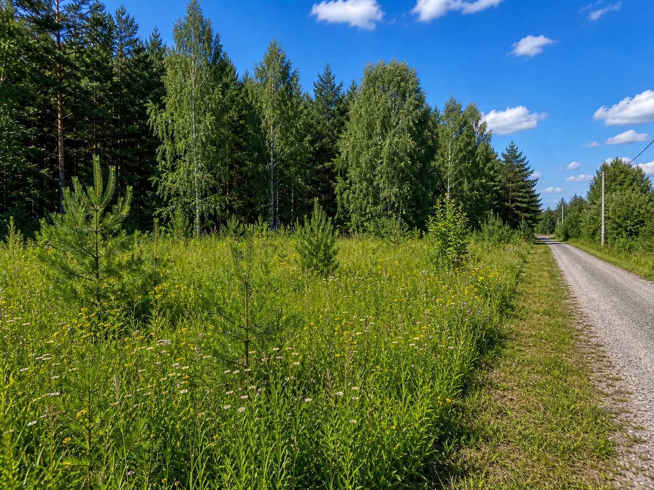 Участок № 37 площадью 9,09 сот. в деревне Лесновка - фото 1