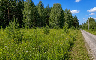 Фото участка № 37 площадью 9,09 сот. в деревне Лесновка