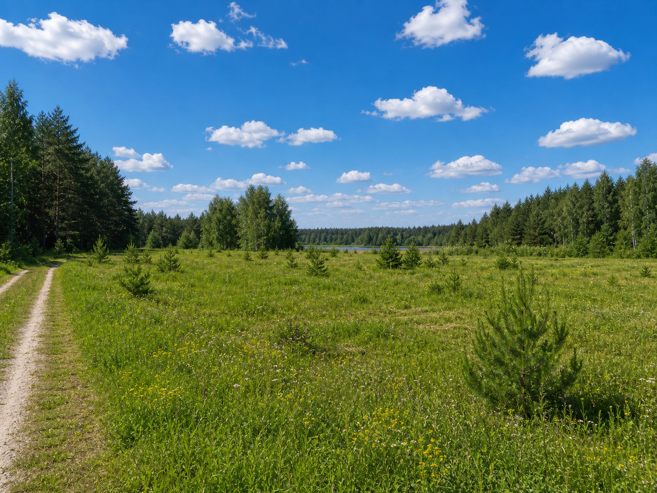 Участок № 49 площадью 17,91 сот. в деревне Лесновка - фото 1