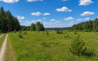 Фото участка № 49 площадью 17,91 сот. в деревне Лесновка