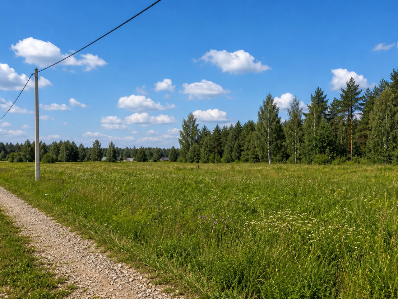 Участок № 12 площадью 9,18 сот. в поселке Тетерево-3 - фото 1