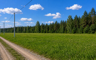 Фото участка № 41 площадью 10,00 сот. в поселке Тетерево-3