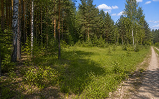 Фото участка № 37 площадью 20,00 сот. в деревне Пашково Эко