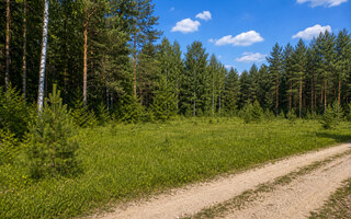 Фото участка № 46 площадью 16,49 сот. в деревне Пашково Эко