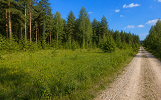 Фото участка № 48 площадью 15,77 сот. в деревне Пашково Эко