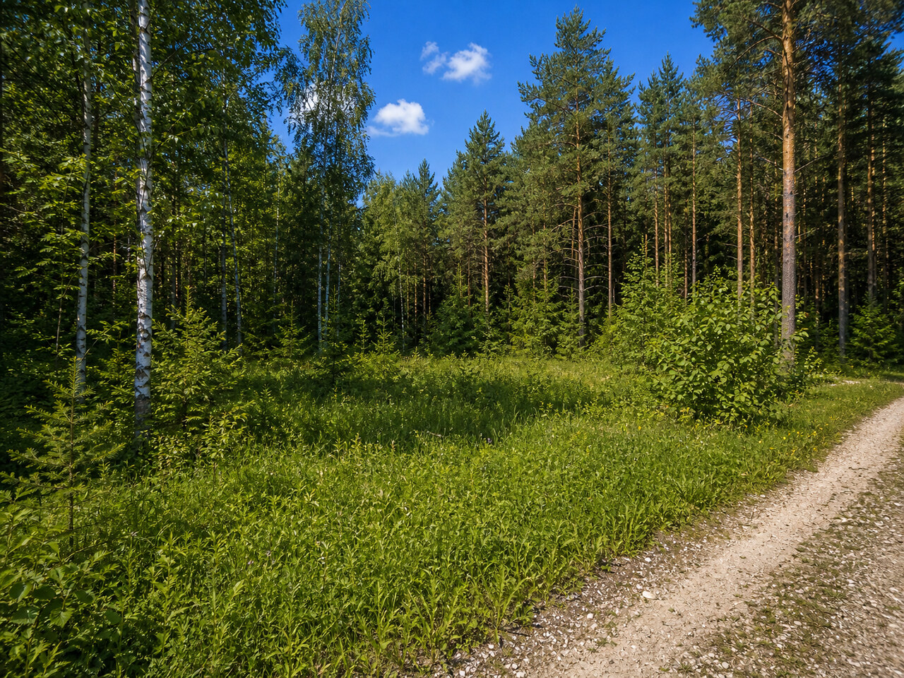 Участок № 59 площадью 4,91 сот. в деревне Пашково Эко - фото 1