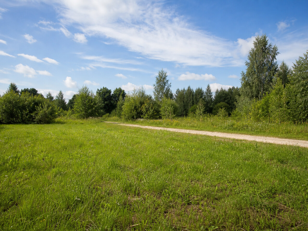 Участок № 39 площадью 5,98 сот. в деревне Горохово Эко - фото 1
