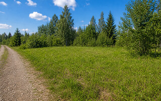 Фото участка № 46 площадью 5,38 сот. в деревне Горохово Эко